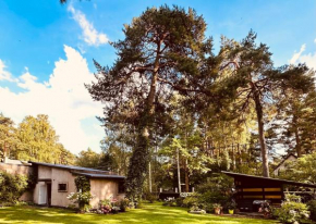 Baltic Sea Cottage, Jūrmala